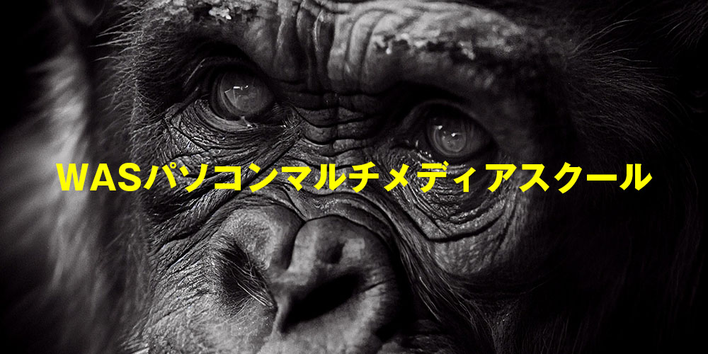 WASパソコンマルチメディアスクール